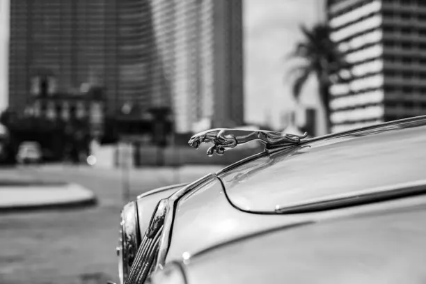 קזינו פרייז לנד בינגו אפליקציית Android/iOS